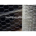 3/8" PVC Coated Anping Hexagonal Mesh with factory price